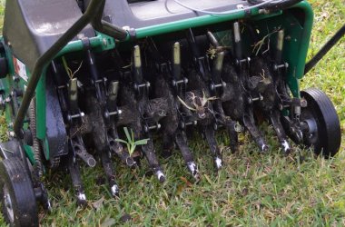 Lawn Aerators